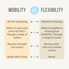 Flexibility vs Mobility